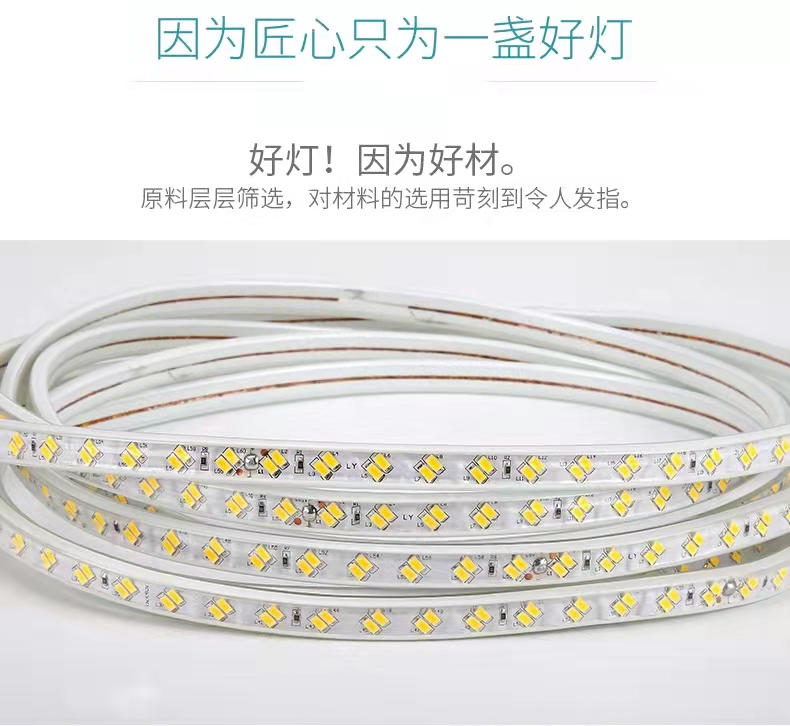 LED灯带-5730斜双排（120珠）